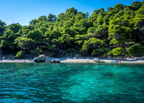 Green Lagoon
