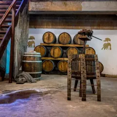 Zlatan Vinery ( optional )